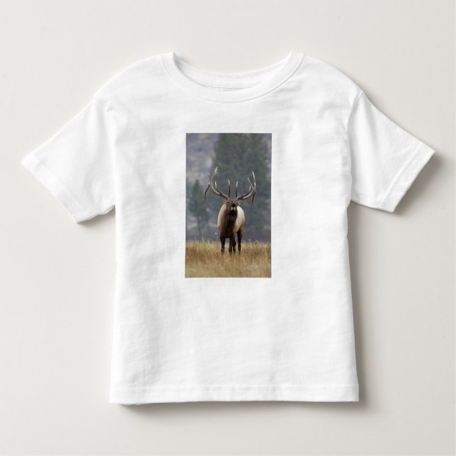 Camiseta Infantil Touro de Elk Bull, Yellowstone NP, Wyoming 2 (Frente)