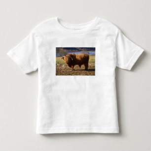 Camiseta Infantil Touro de Gado das Terras Altas, Escócia