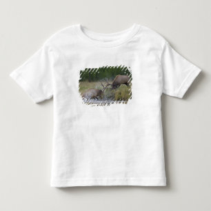 Camiseta Infantil Touros de alce lutando, Yellowstone NP, Wyoming