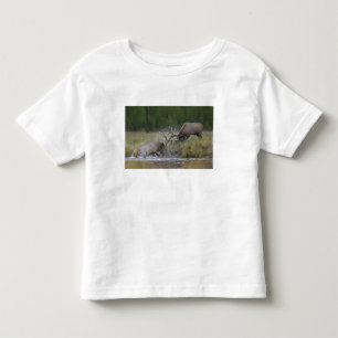Camiseta Infantil Touros de alce lutando, Yellowstone NP, Wyoming