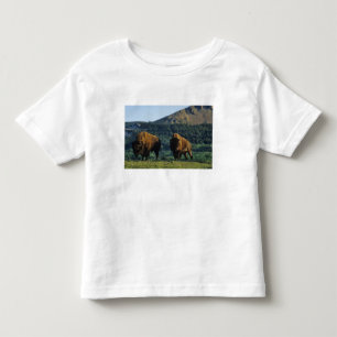 Camiseta Infantil Touros de bisão no Parque Nacional Waterton Lakes