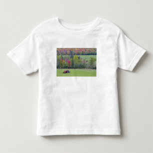 Camiseta Infantil Trator com fardo de feno em campo verde com