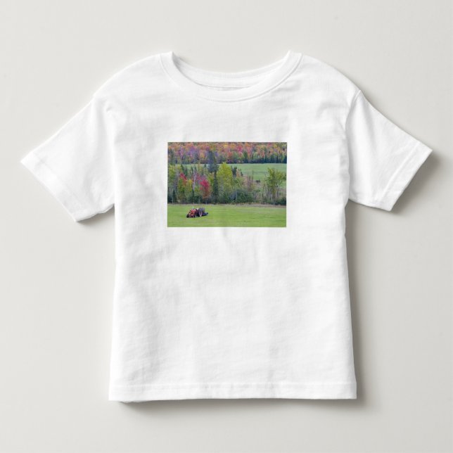 Camiseta Infantil Trator com fardo de feno em campo verde com (Frente)