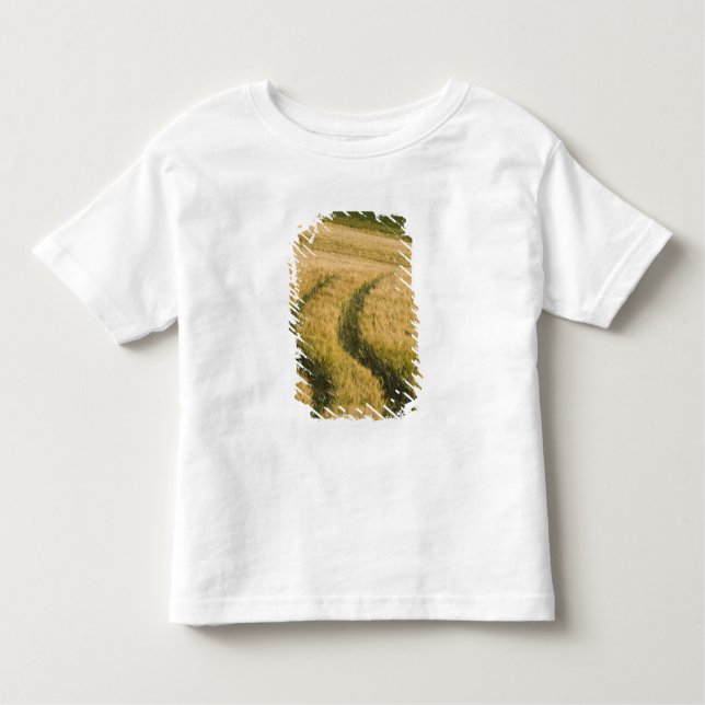 Camiseta Infantil Tratores rastreiam trigo, Toscana, Itália (Frente)