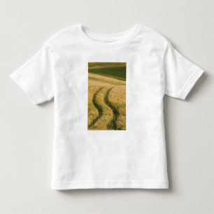 Camiseta Infantil Tratores rastreiam trigo, Toscana, Itália