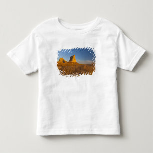 Camiseta Infantil Tribunal e Jailhouse Rock perto de Bridgeport