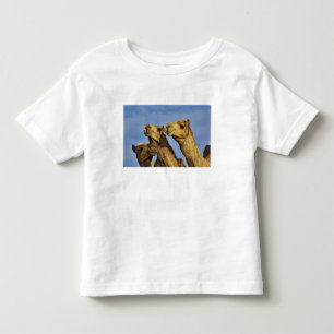 Camiseta Infantil Trío de camelos, mercado de camelos, Cairo, Egito