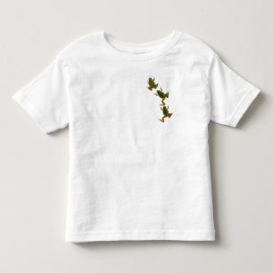 Camiseta Infantil Trio de escalada do sapo