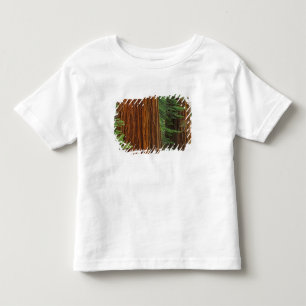Camiseta Infantil troncos de sequóia gigante na floresta, Yosemite