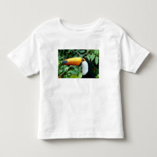 Camiseta Infantil Tucano-de-bico-amarelo