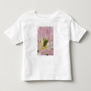Camiseta Infantil Tulipa close-up, Jardins Keukenhof, Lisse,