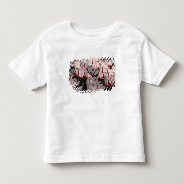 Camiseta Infantil Tulipas (Frente)