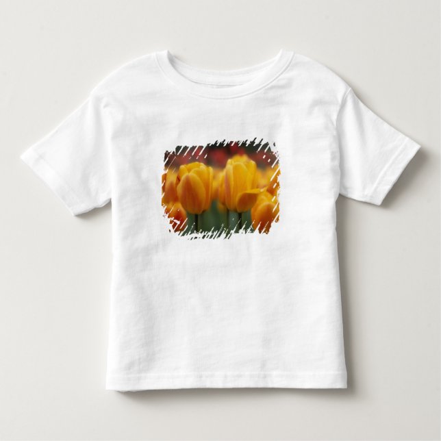 Camiseta Infantil Tulipas 2 (Frente)
