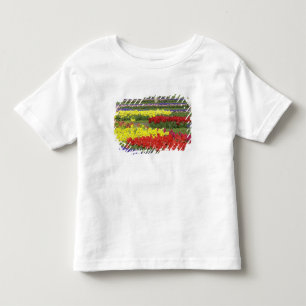 Camiseta Infantil Tulipas, Jacintos e Narcisos, 2