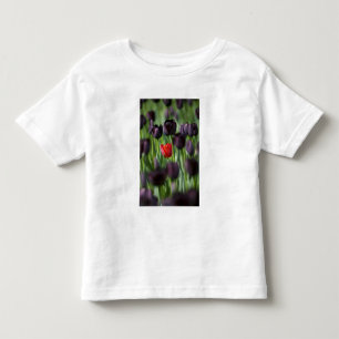 Camiseta Infantil Tulipas nos Jardins Keukenhof, Amsterdã,