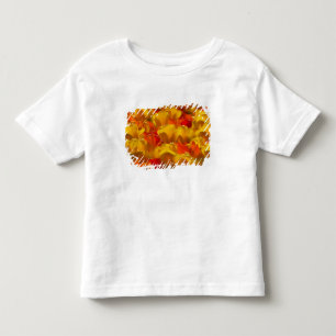 Camiseta Infantil Tulipas nos Jardins Keukenhof, Amsterdã, 2