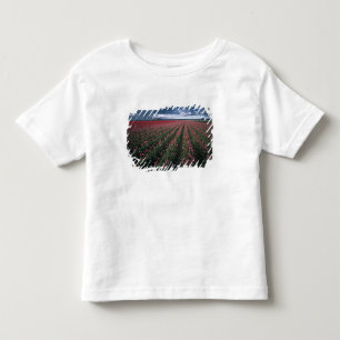 Camiseta Infantil Tulipas rosa brilhante e vermelho brilham sob o es