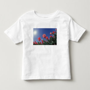 Camiseta Infantil Tulipas vermelhas de ângulo muito baixo, Cincinnat