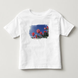 Camiseta Infantil Tulipas vermelhas de um ângulo muito baixo, Cincin
