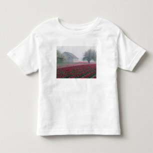 Camiseta Infantil Tulipas vermelhas e cor-de-rosa saudam o dia com u