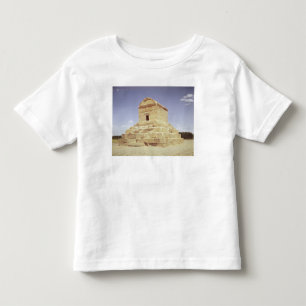 Camiseta Infantil Túmulo de Cyrus o excelente