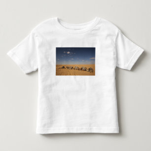Camiseta Infantil Tunísia, Área Ksour, Ksar Ghilane, Grand Erg 2