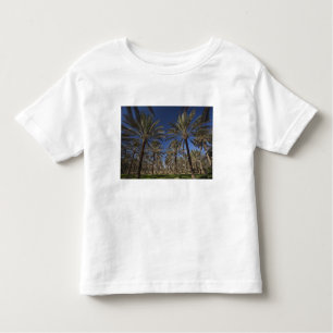 Camiseta Infantil Tunísia, Deserto do Saara, Douz, Zone Touristique,