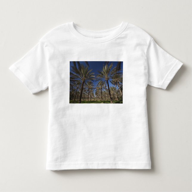 Camiseta Infantil Tunísia, Deserto do Saara, Douz, Zone Touristique, (Frente)