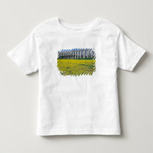 Camiseta Infantil Turquia, Istambul, Kemerburgaz, Uzunkemer (o