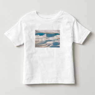 Camiseta Infantil Turquia, Pamukkale Castelo de Algodão).