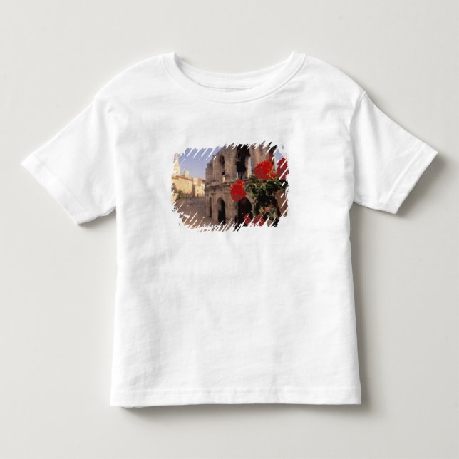 Camiseta Infantil UE, França, Provença, Bouches, du, Rhone, 6 (Frente)