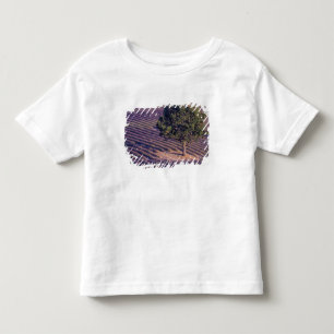 Camiseta Infantil UE, França, Provença, Campos de lavanda