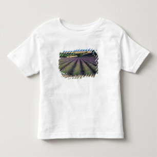 Camiseta Infantil UE, França, Provença, Campos de lavanda 2