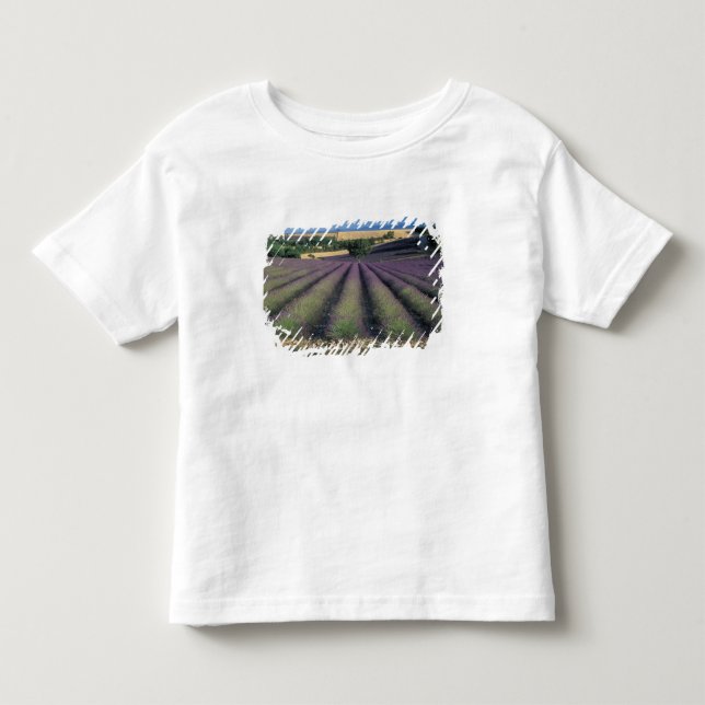 Camiseta Infantil UE, França, Provença, Campos de lavanda 2 (Frente)