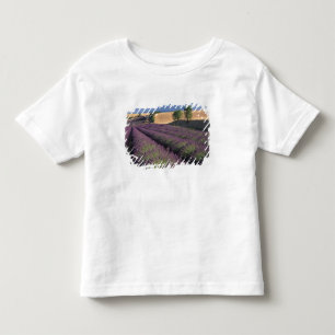 Camiseta Infantil UE, França, Provença, Campos de lavanda 3