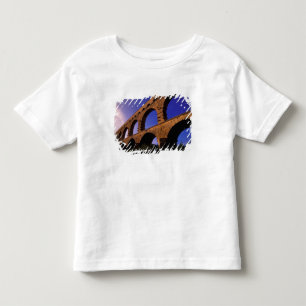 Camiseta Infantil UE, França, Provença, Gard, Pont du Gard. 3
