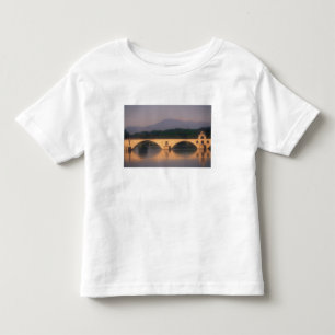 Camiseta Infantil UE, França, Provença, Vaucluse, Avignon. Ponto