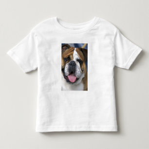 Camiseta Infantil Um buldogue inglês na Bélgica.