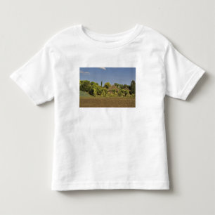 Camiseta Infantil Um campo agrícola em frente a casas com telhado de