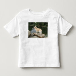 Camiseta Infantil Um Cão Em Um Lago