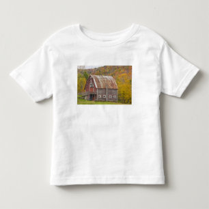 Camiseta Infantil Um celeiro nas montanhas verdes de Vermont.