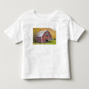 Camiseta Infantil Um celeiro nas Montanhas Verdes de Vermont. Hancoc