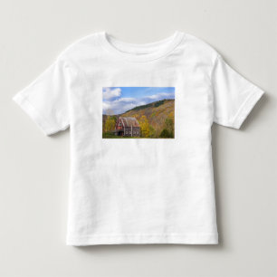 Camiseta Infantil Um celeiro nas Montanhas Verdes de Vermont. Hancoc