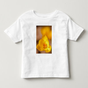 Camiseta Infantil Um crocus amarelo floresce em Portsmouth, Novo