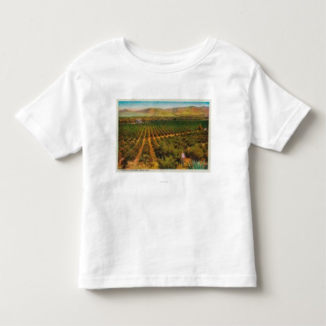 Camiseta Infantil Um GroveState alaranjado bonito (Frente)