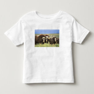 Camiseta Infantil Um grupo de bois-almiscarados se alimentam de arbu