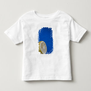 Camiseta Infantil Um Limão Mediterrâneo