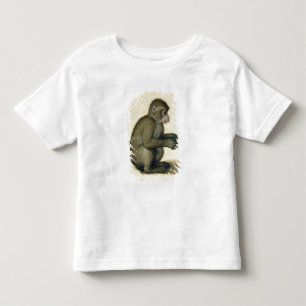 Camiseta Infantil Um macaco