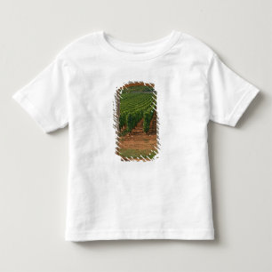 Camiseta Infantil Um pórtico de pedra para a vinha