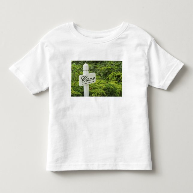 Camiseta Infantil Um sinal apontando para a adega (Cave) em (Frente)